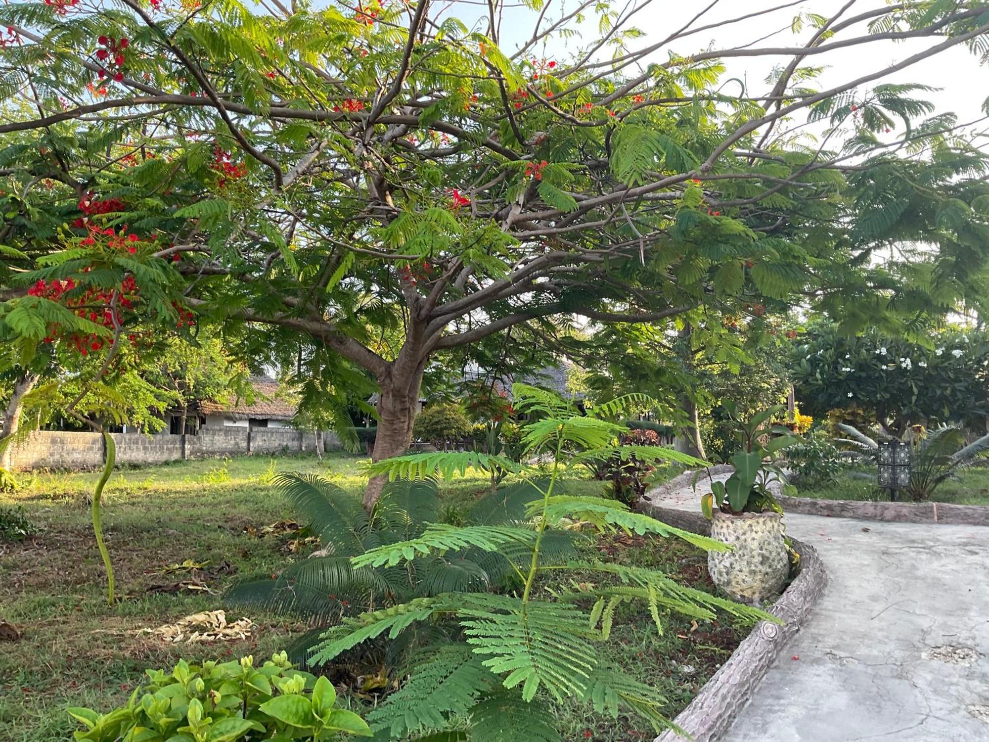 Zanzi Rest Bungalow Nungwi Esterno foto