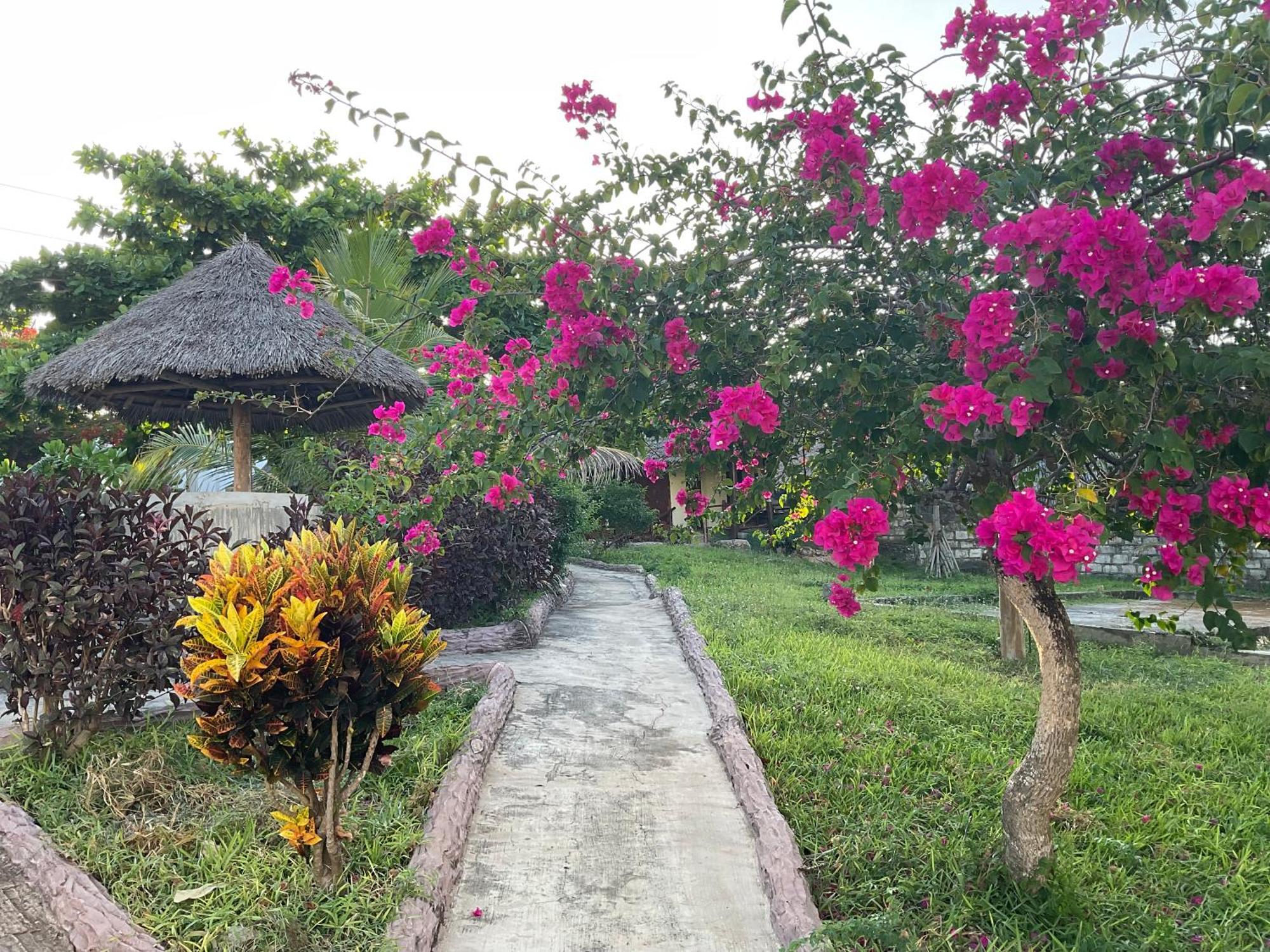 Zanzi Rest Bungalow Nungwi Esterno foto