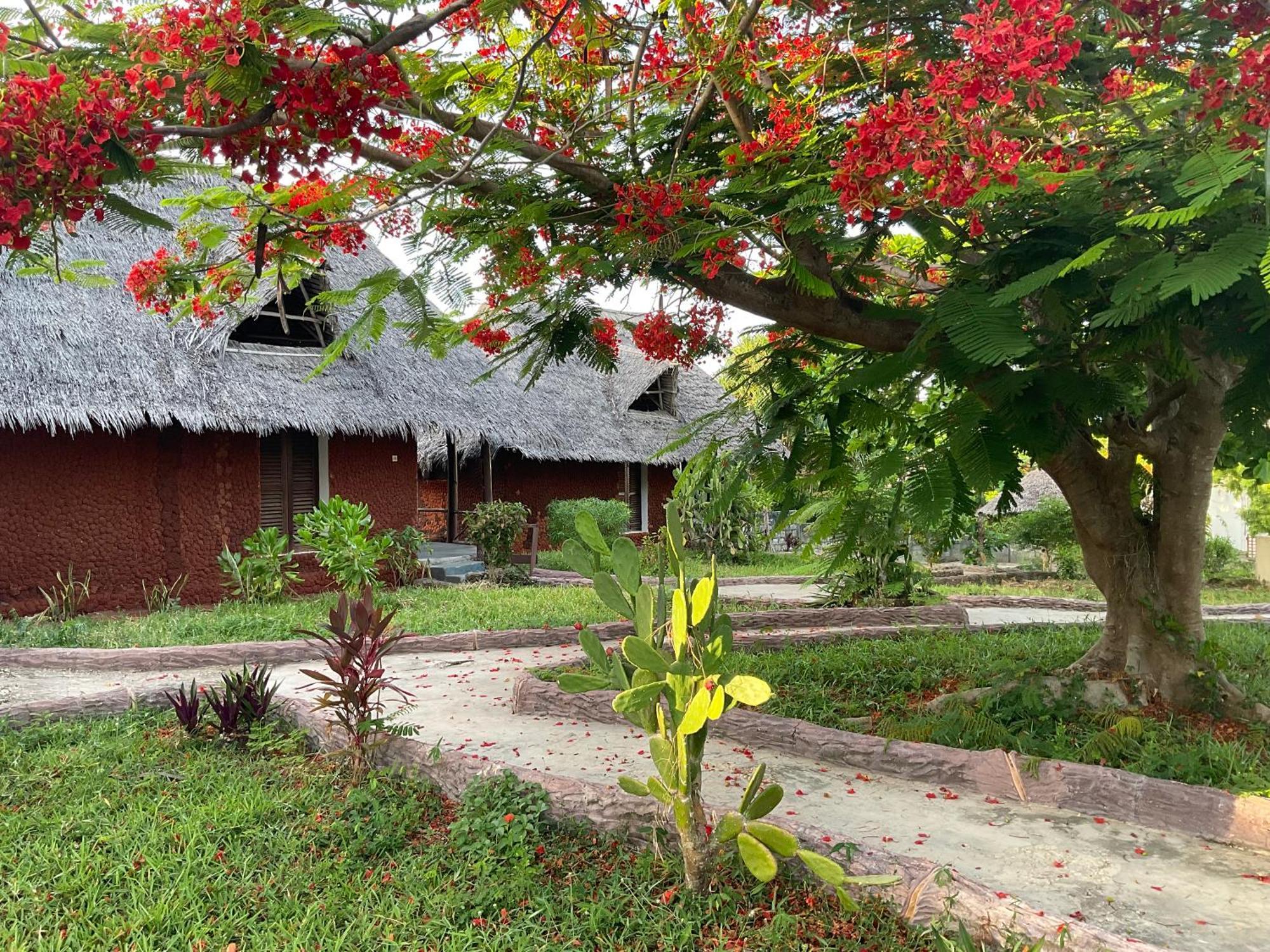 Zanzi Rest Bungalow Nungwi Esterno foto