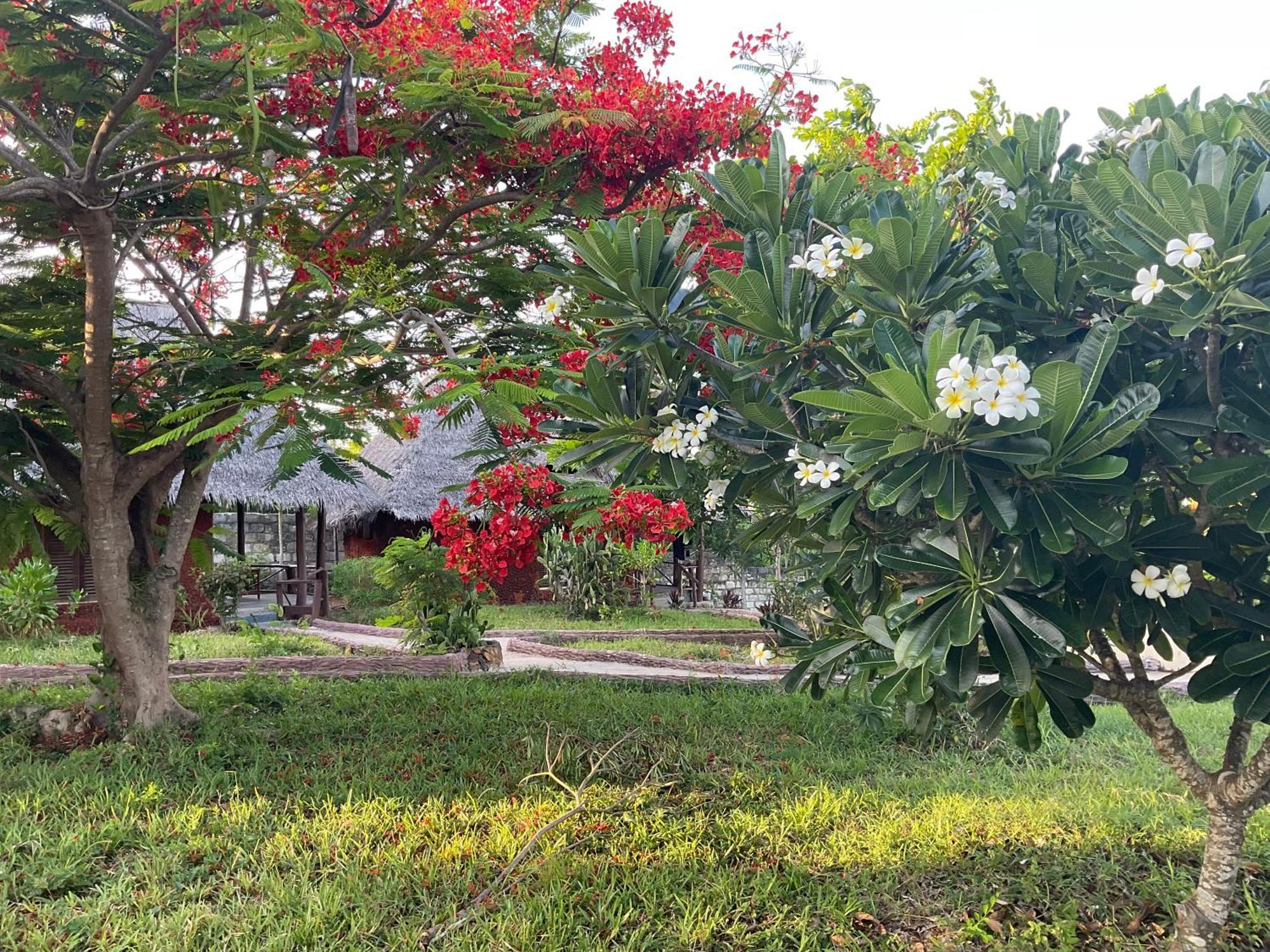 Zanzi Rest Bungalow Nungwi Esterno foto