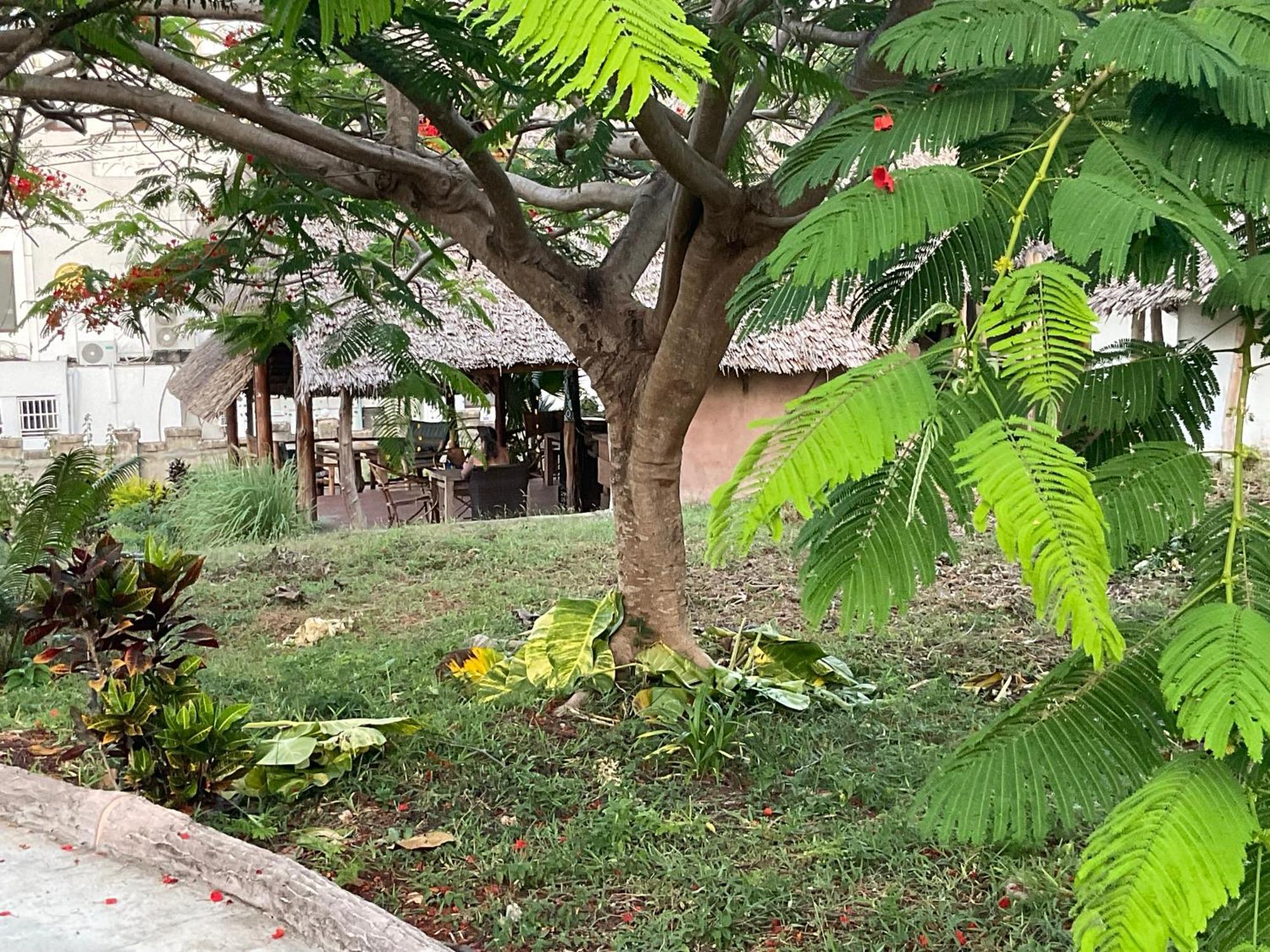 Zanzi Rest Bungalow Nungwi Esterno foto